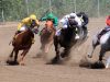 Evergreen Park celebrates successful 2020 horse racing season