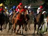 A Week from Horse racing in Buenos Aires Horse racing Buenos Aires