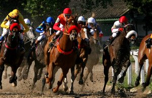 A Week from Horse racing in Buenos Aires Horse racing Buenos Aires