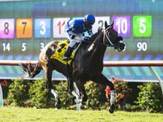 Mo Forza, jockey Flavien Prat wins Del Mar Mile Mo Forza, jockey Flavien Prat