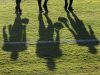 NFL players pull out of 2020 season