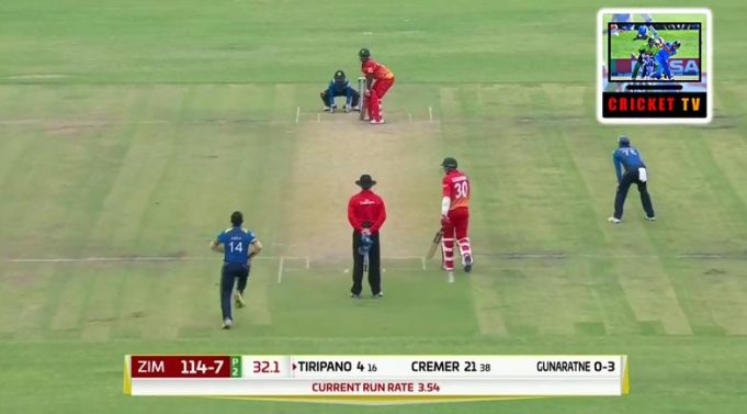 cricket cricket return