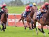 The Big Race at Goodwood and Newmarket horse racing