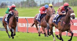 The Big Race at Goodwood and Newmarket horse racing