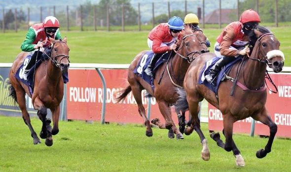horse horse racing
