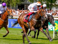 Phoenix Thoroughbreds quit horse racing in UK Phoenix Thoroughbreds