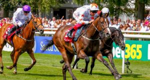 Phoenix Thoroughbreds quit horse racing in UK Phoenix Thoroughbreds