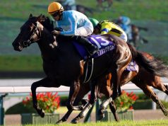 Daring Tact become the first undefeated champion of Japan’s filly triple crown Daring Tact become the first undefeated champion of Japan's filly triple crown