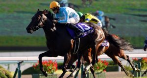 Daring Tact become the first undefeated champion of Japan’s filly triple crown Daring Tact become the first undefeated champion of Japan's filly triple crown