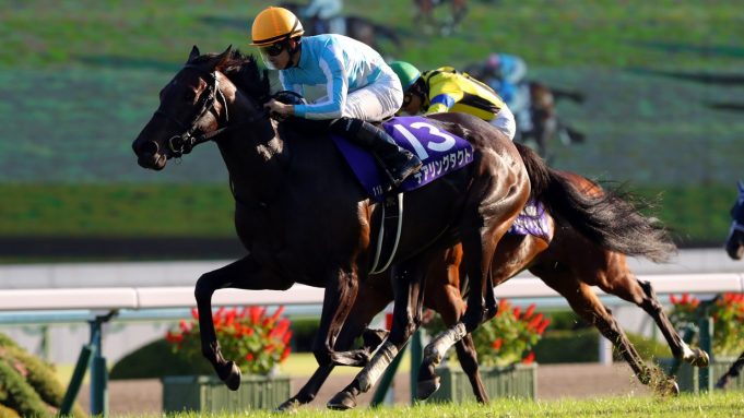 Daring Tact become the first undefeated champion of Japan's filly triple crown Daring Tact become the first undefeated champion of Japan's filly triple crown