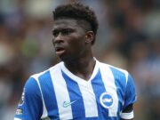 “Did Brighton Just Give Man United the Green Light for Baleba?”
